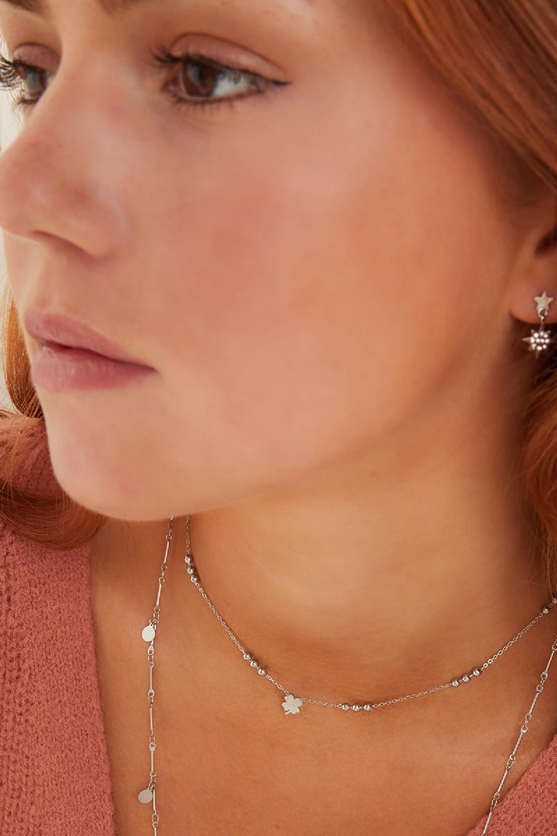 Roestvrij stalen ketting Zilver Stainless Steel