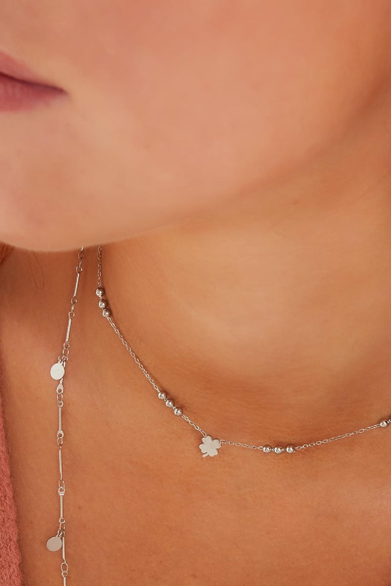 Roestvrij stalen ketting Zilver Stainless Steel