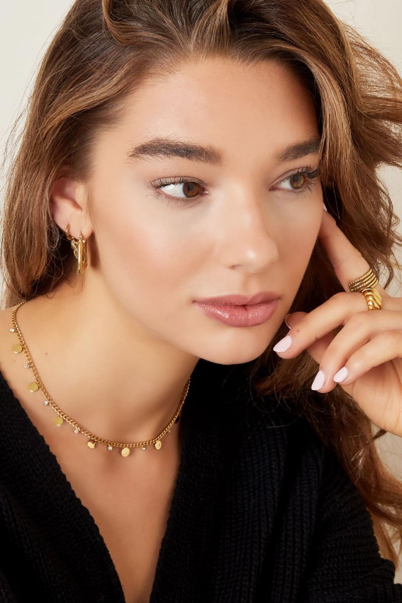 Ketting met cricels en strass Zilver Stainless Steel