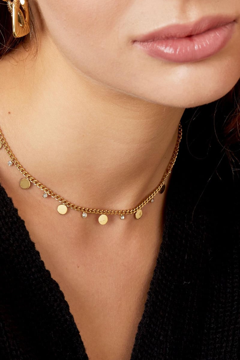 Ketting met cricels en strass Zilver Stainless Steel