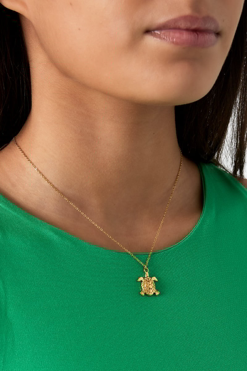 turtle tides ketting