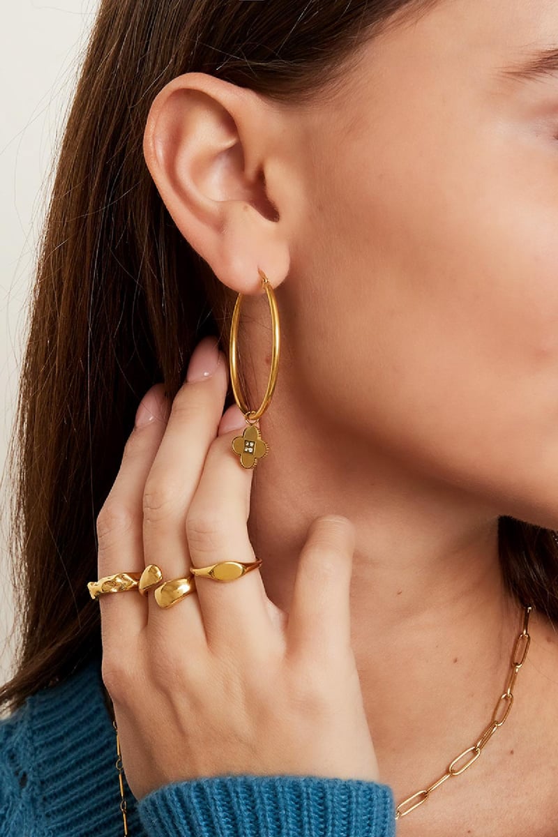 Roestvrij stalen zegelring Goud kleur Stainless Steel 15