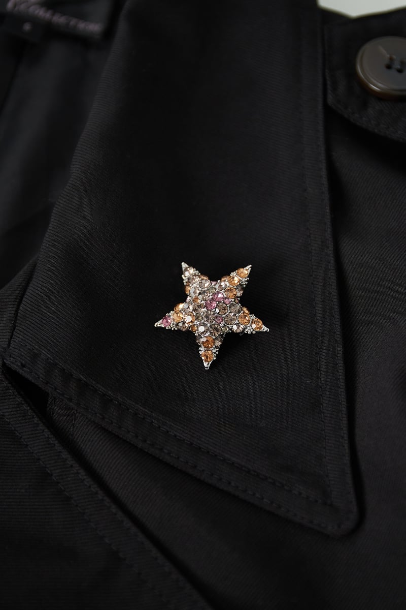 Star brooche - multi