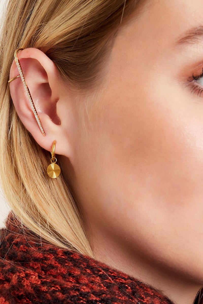 RVS oorbellen cirkel Zilver Stainless Steel