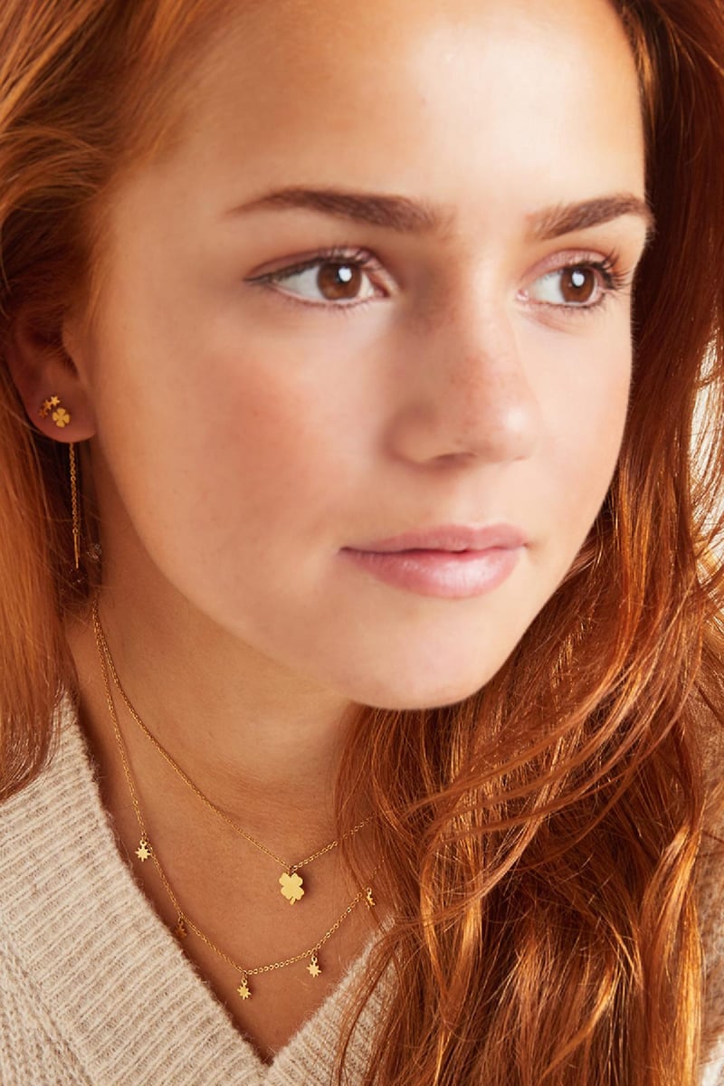 Roestvrijstalen ketting oorbellen Klaver Goud kleur Stainless Steel