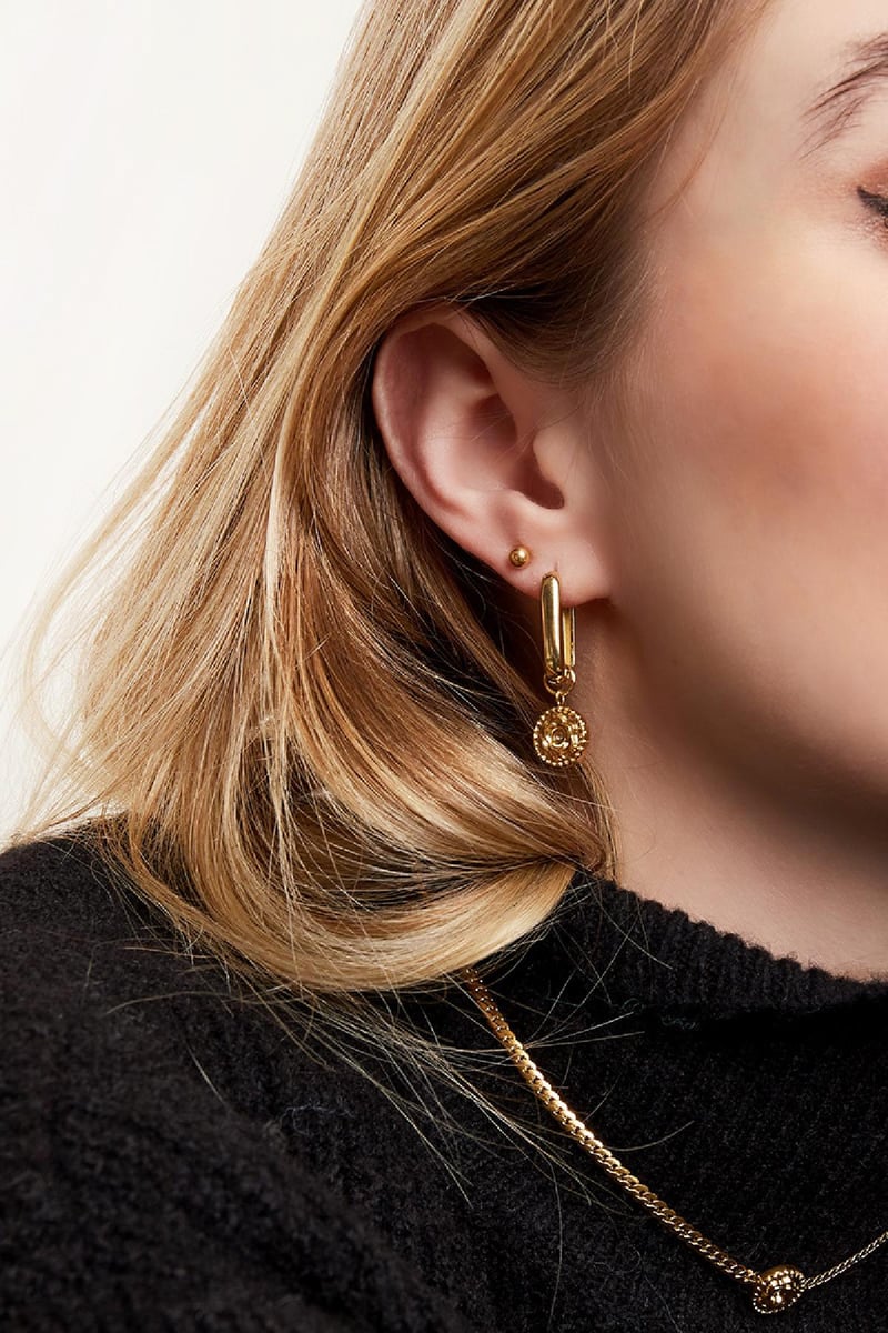 Oorbellen roos Goud kleur Stainless Steel