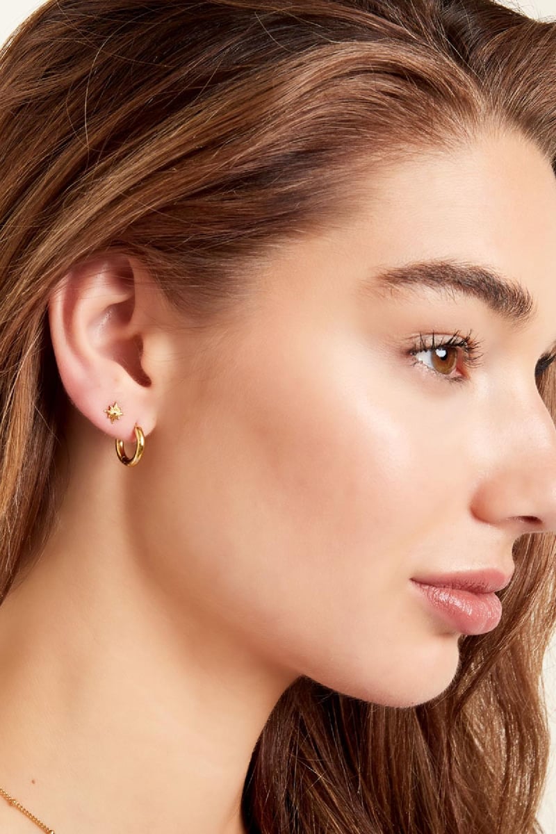 Creolen simpel S Zilver Stainless Steel