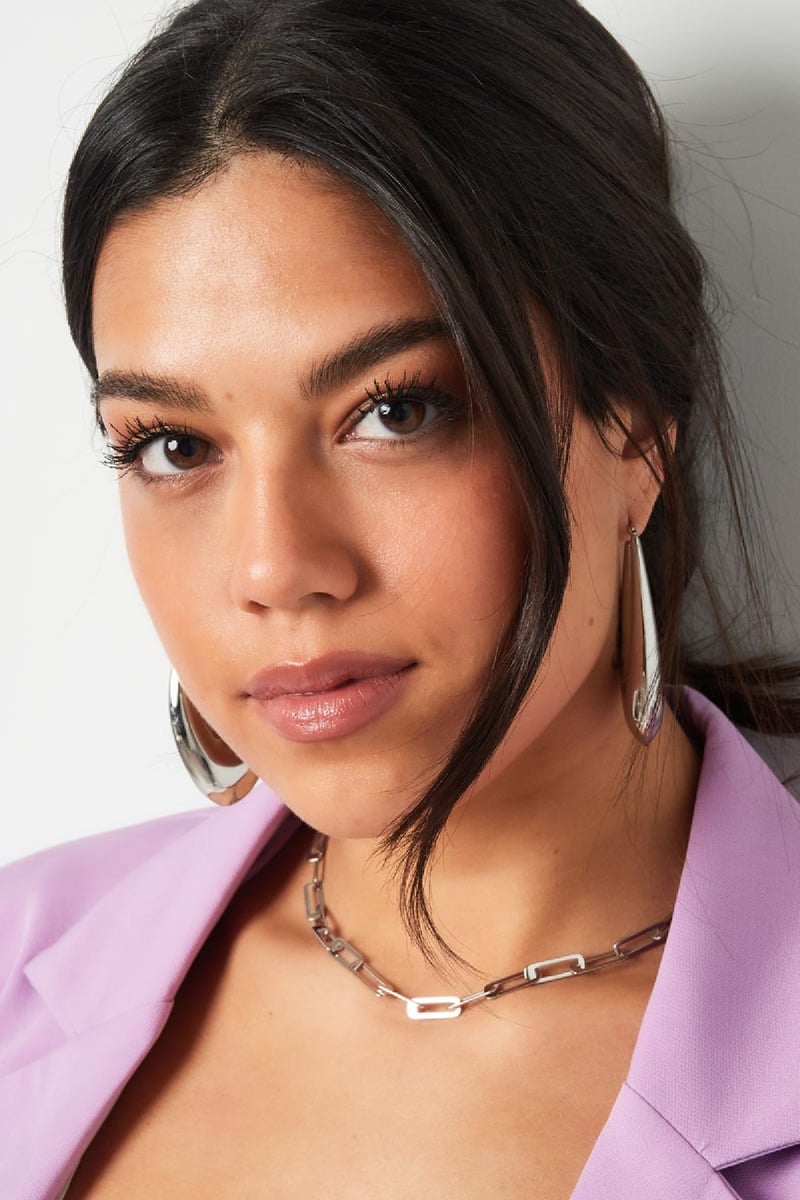 oorbellen stainless steel chique groot 