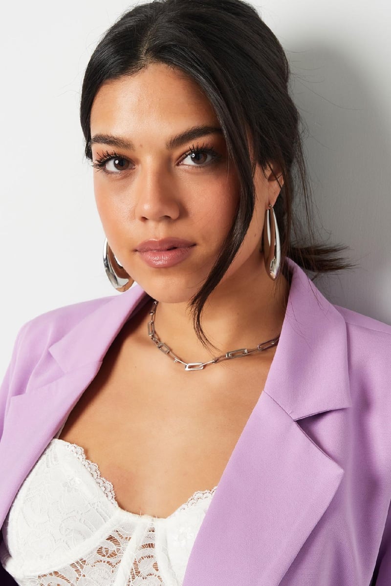 oorbellen stainless steel chique groot 