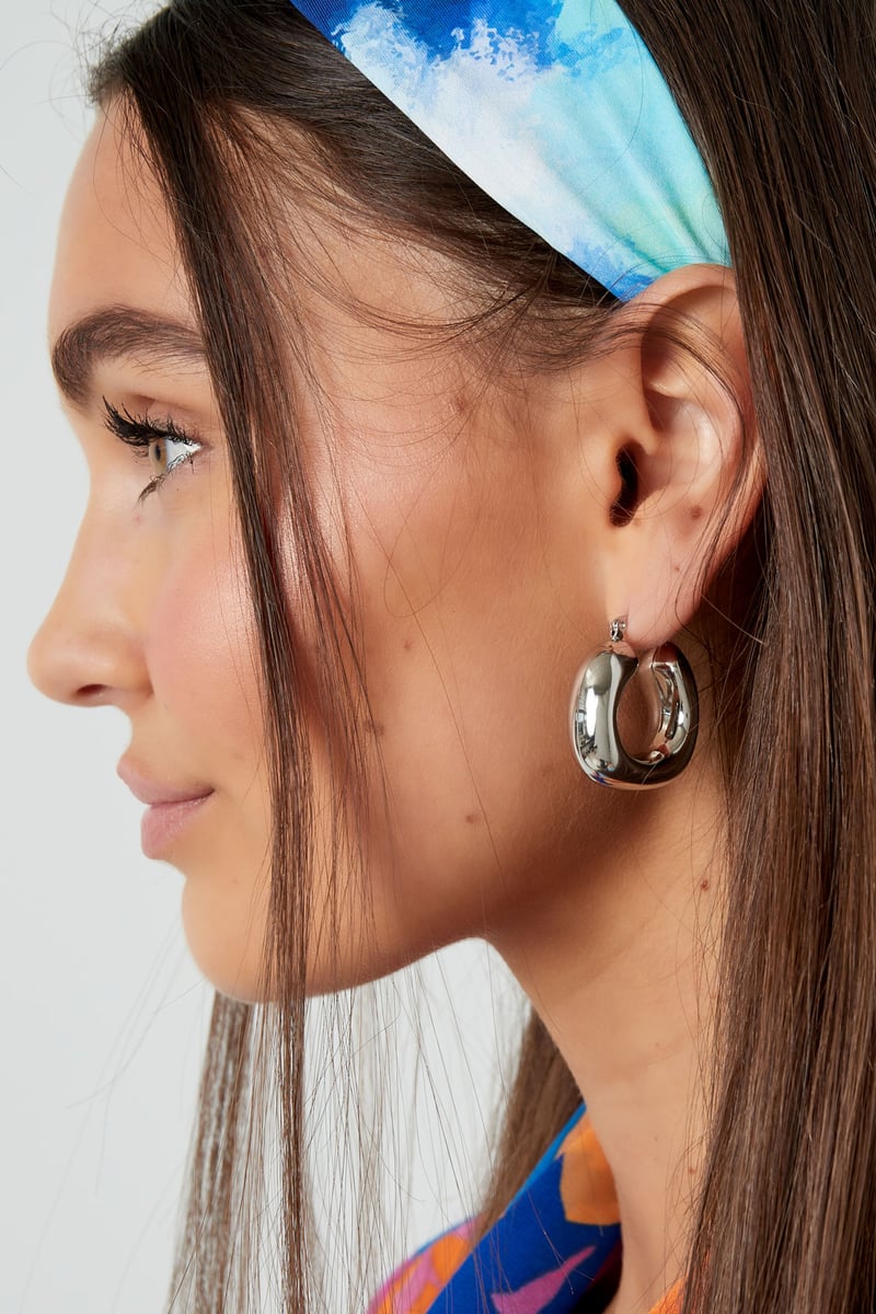 Oorbellen abstracte vorm - zilver Stainless Steel