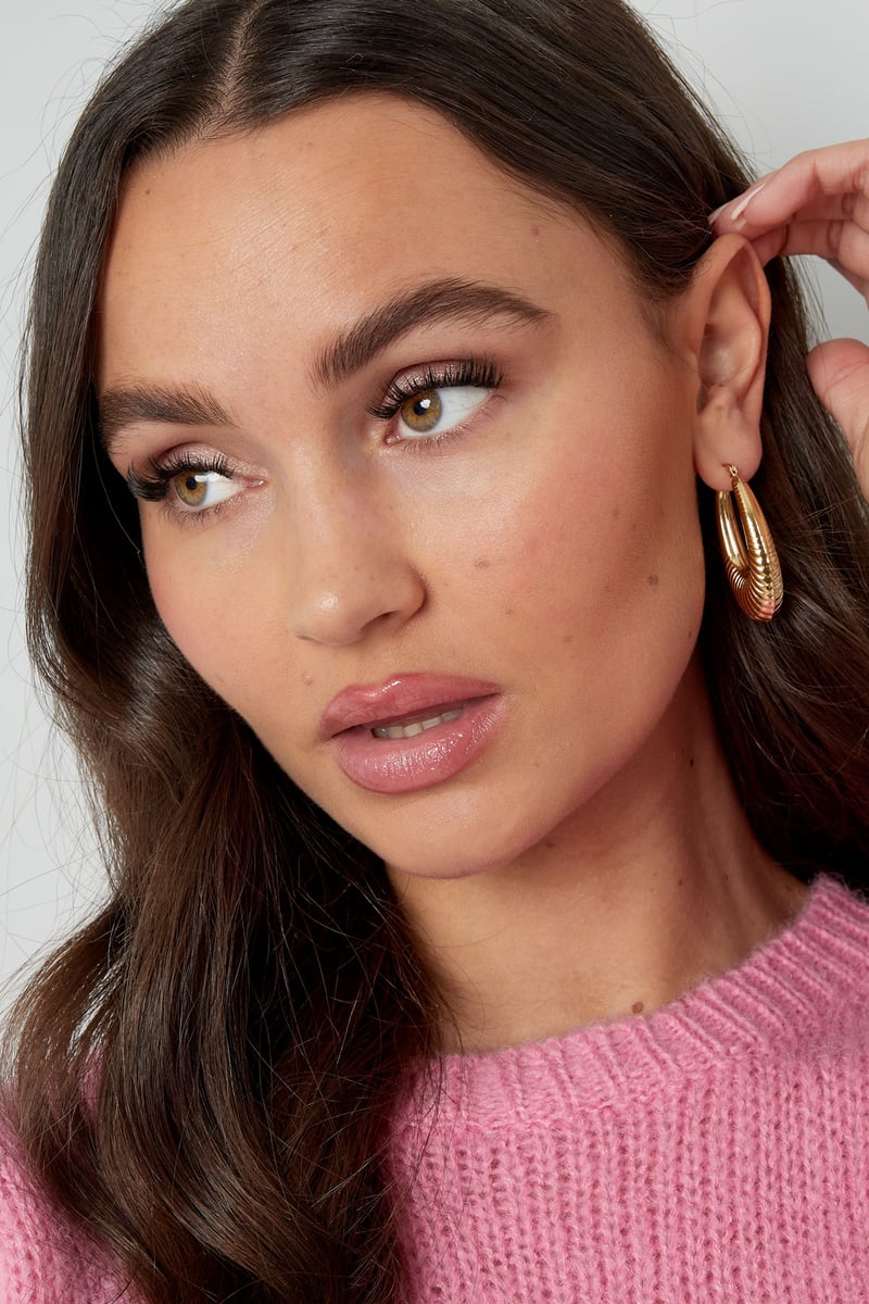 rvs geometrische ovale oorbellen