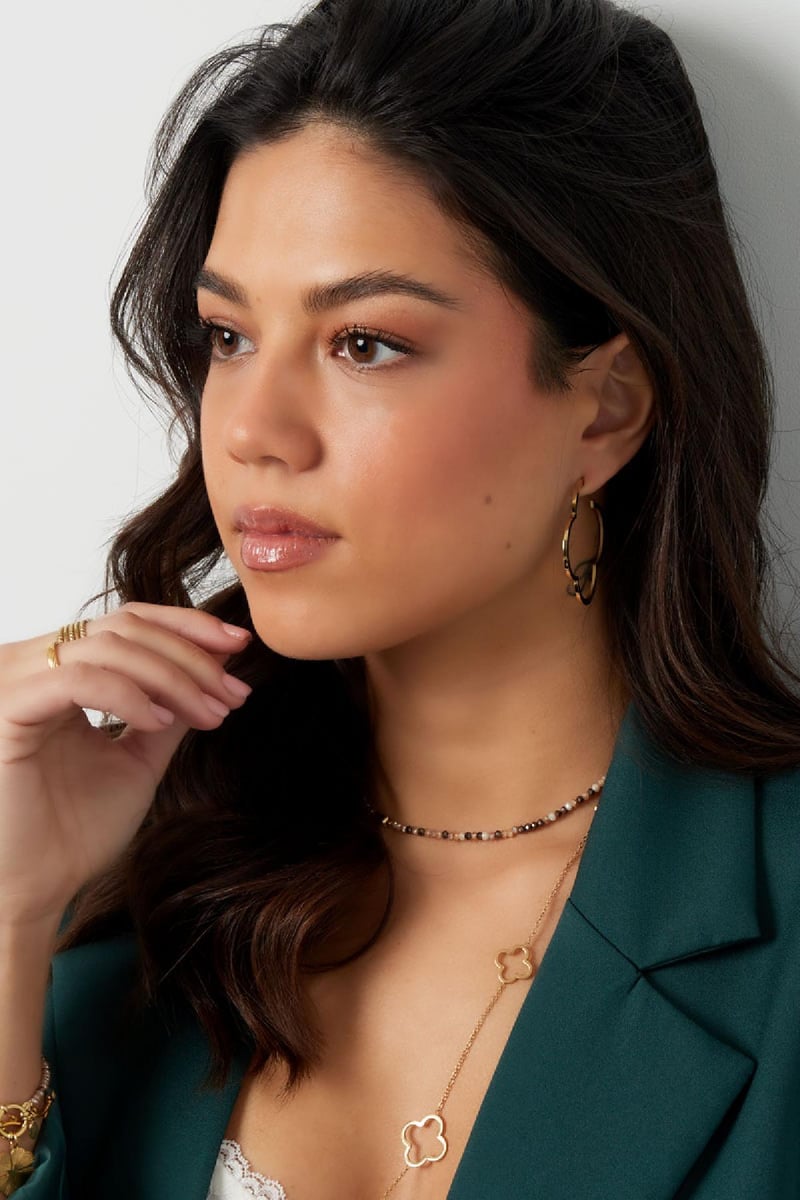 Oorstekers klaver Zilver Stainless Steel