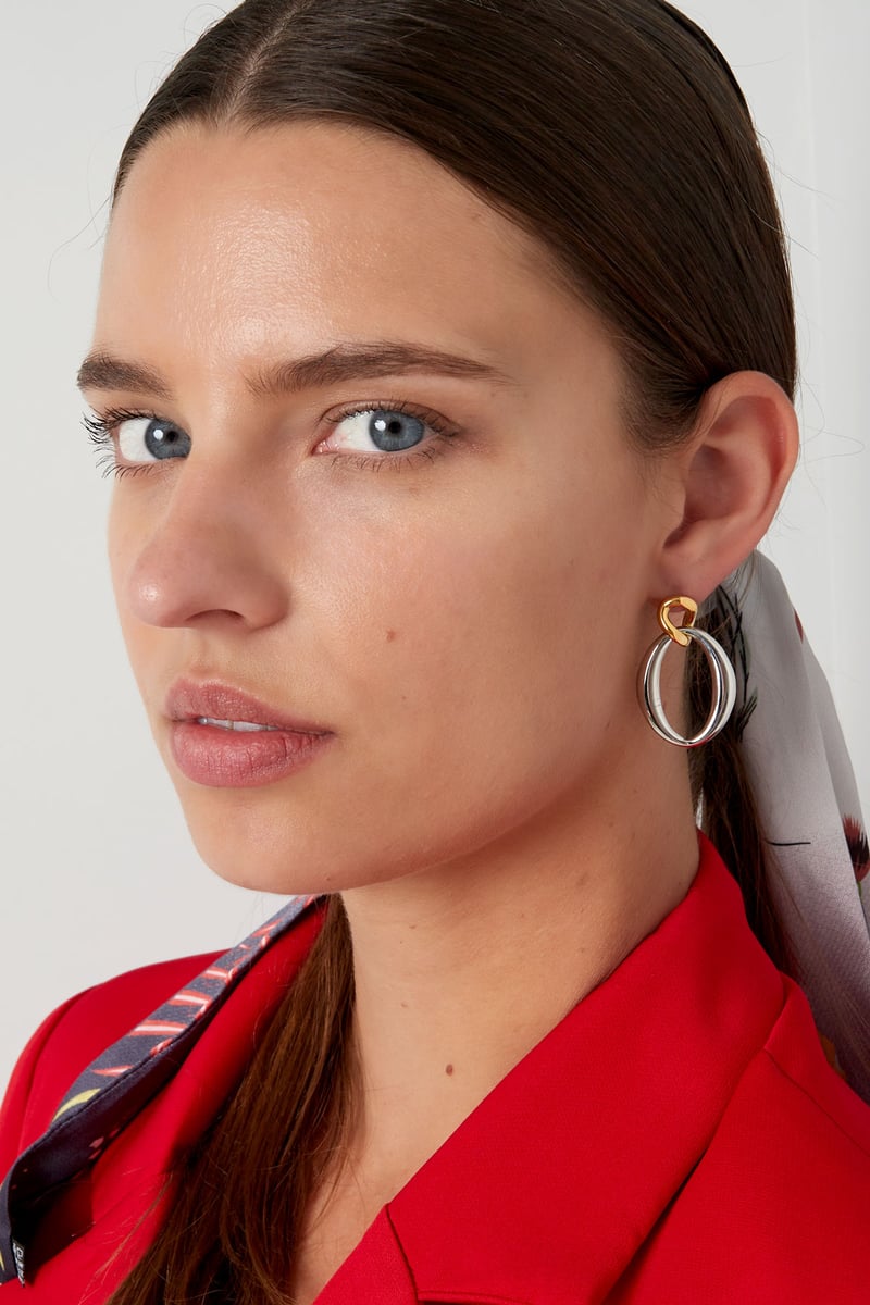 Oorbellen gedraaide hanger - zilver/Goud kleur