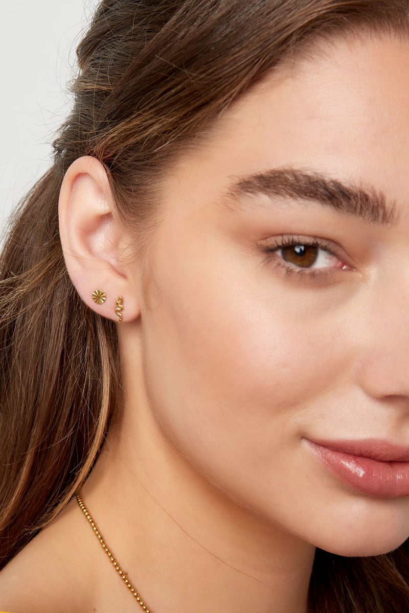 Oorbellensteker slang - zilver Stainless Steel