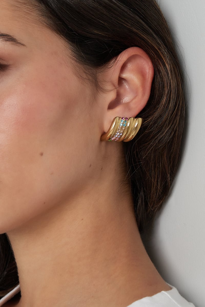 Oorbellen twisted times - multi