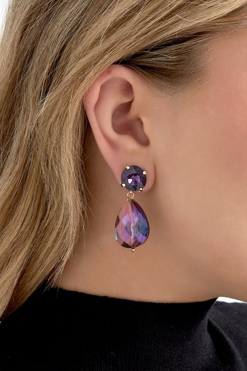 Oorbellen posh pardon - blauw bruin