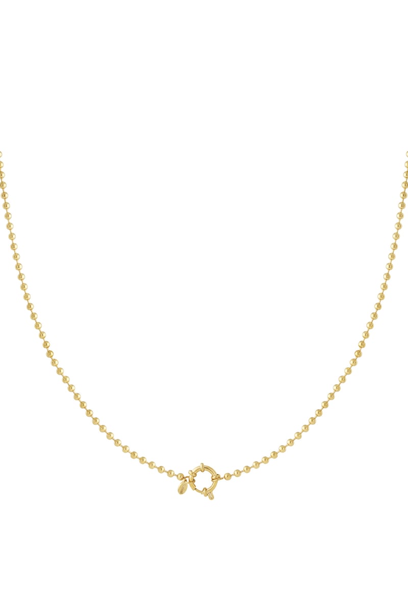 Roestvrijstalen kettingen Geometrisch Casual Dagelijks Eenvoudig Serie Dames sieraden