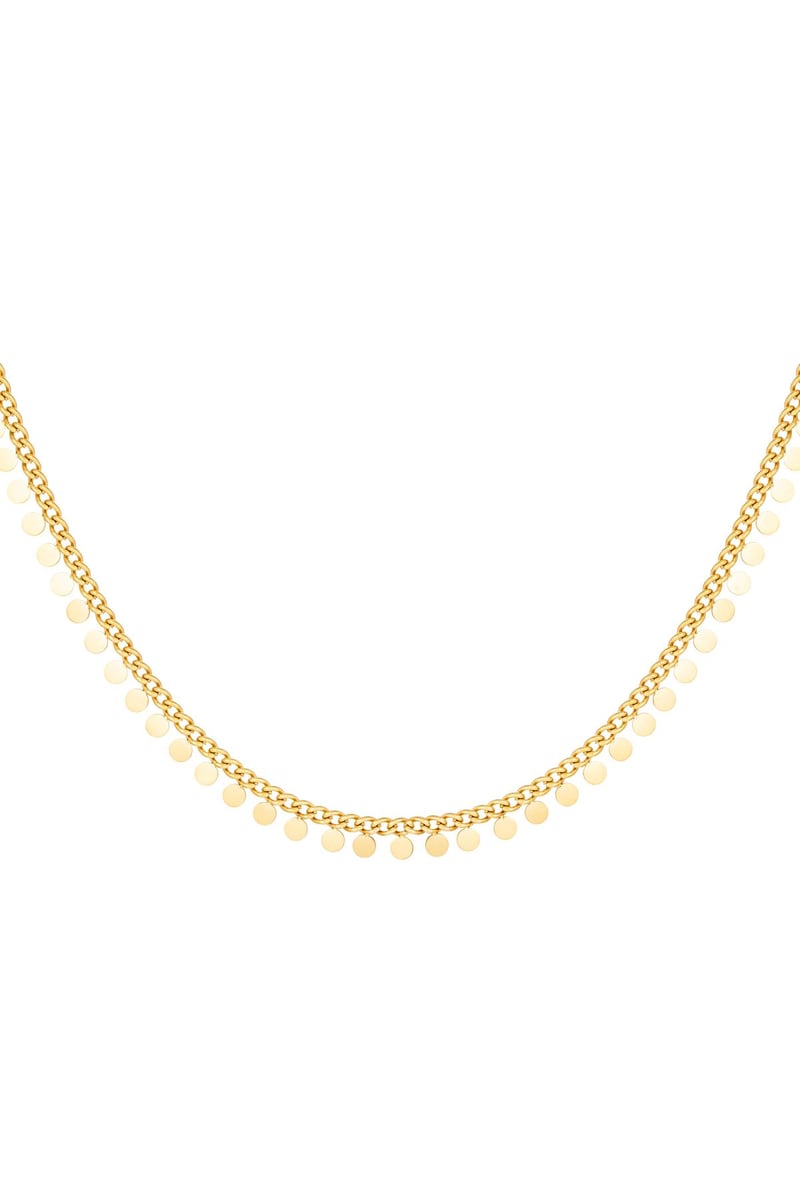 Roestvrijstalen ketting cirkels Goud kleur Stainless Steel