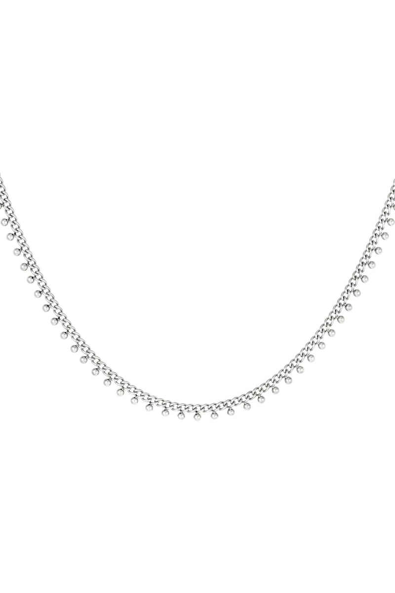 Roestvrijstalen ketting stippen Zilver Stainless Steel