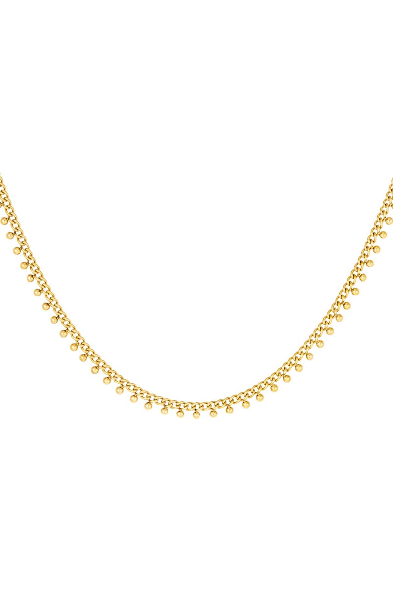 Roestvrijstalen ketting stippen Zilver Stainless Steel