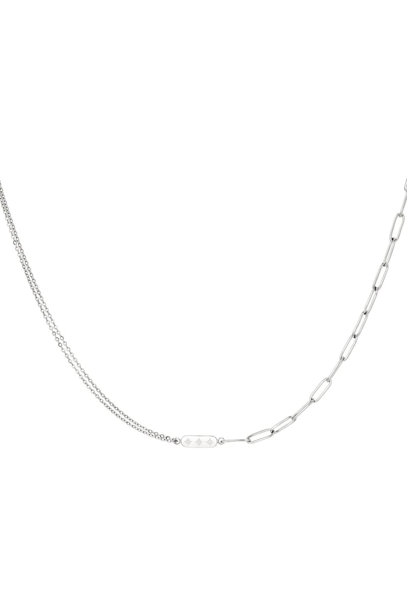 Roestvrijstalen ketting met dubbele ketting en bedel Goud kleur Stainless Steel
