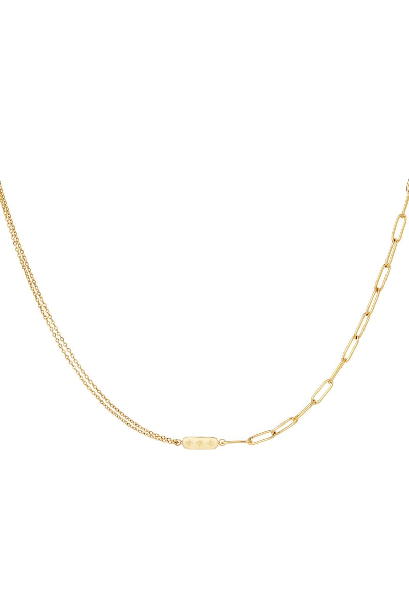 Roestvrijstalen ketting met dubbele ketting en bedel Goud kleur Stainless Steel