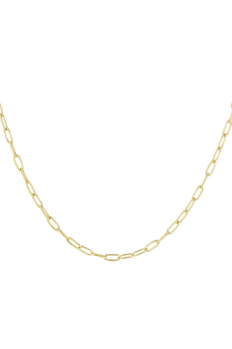 Schakelketting basic Goud kleur Stainless Steel