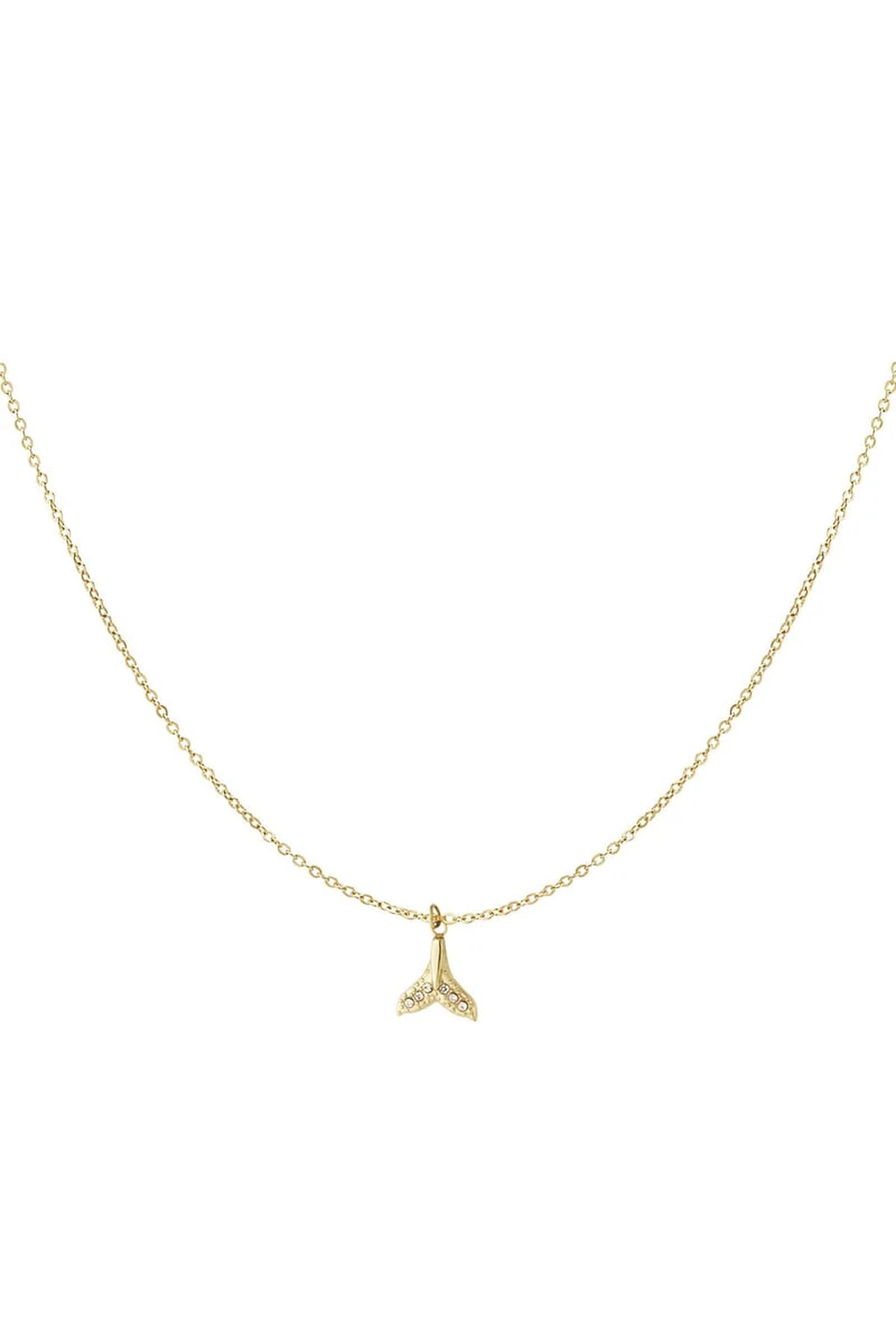 ketting walvisstaart