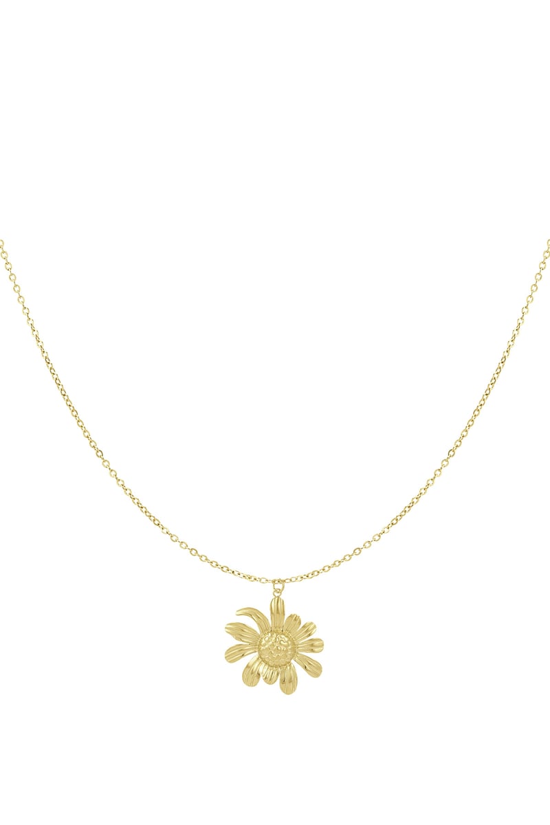 happy daisy ketting