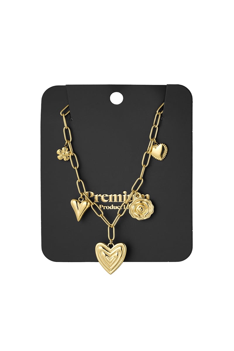 heartfelt charms ketting