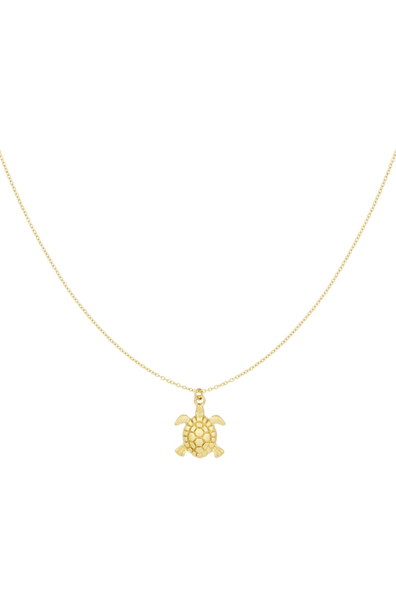 turtle tides ketting
