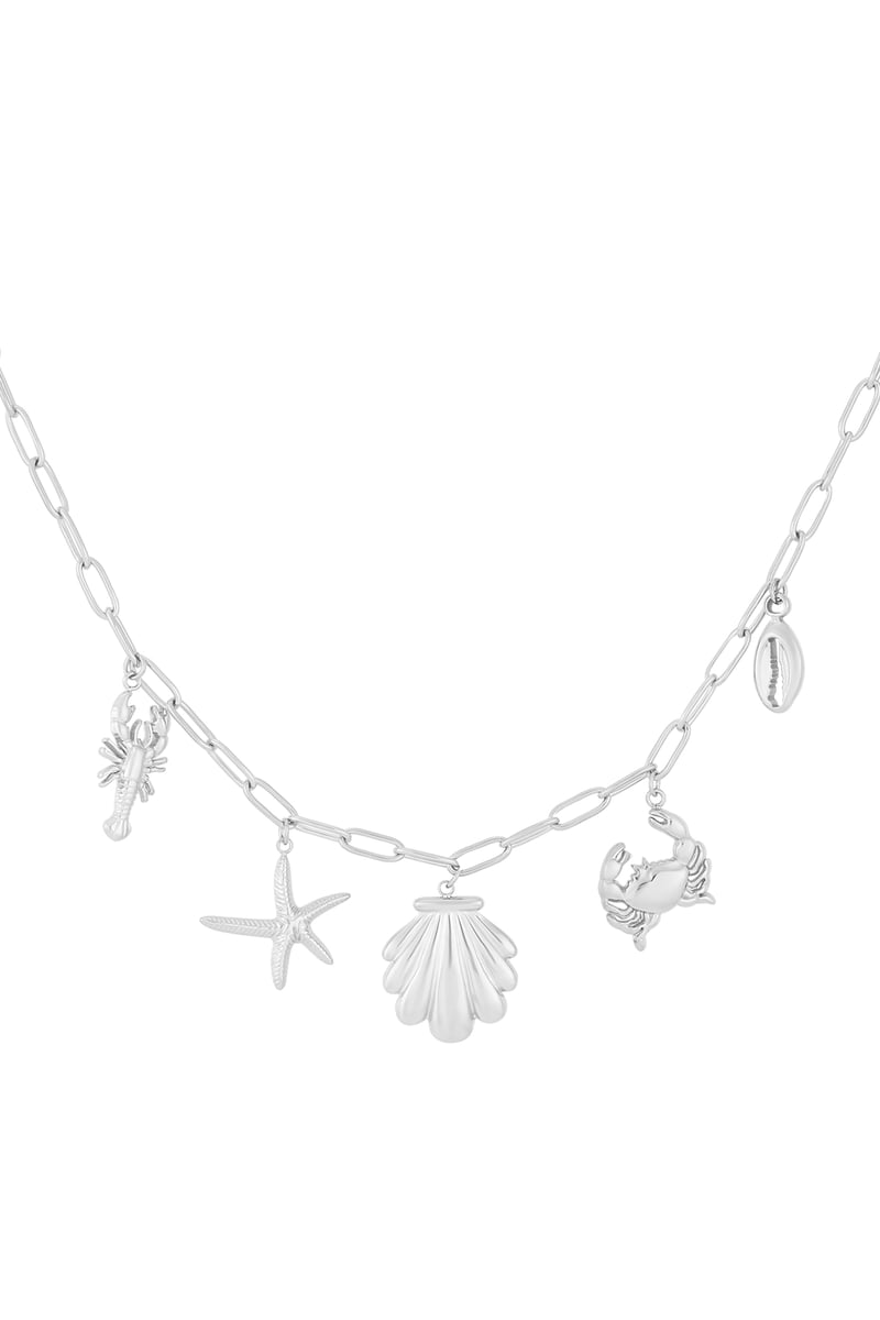 Beachy ketting - zilverkleur