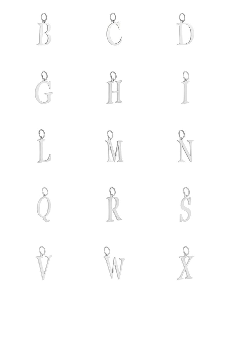 Charm A Zilver Stainless Steel