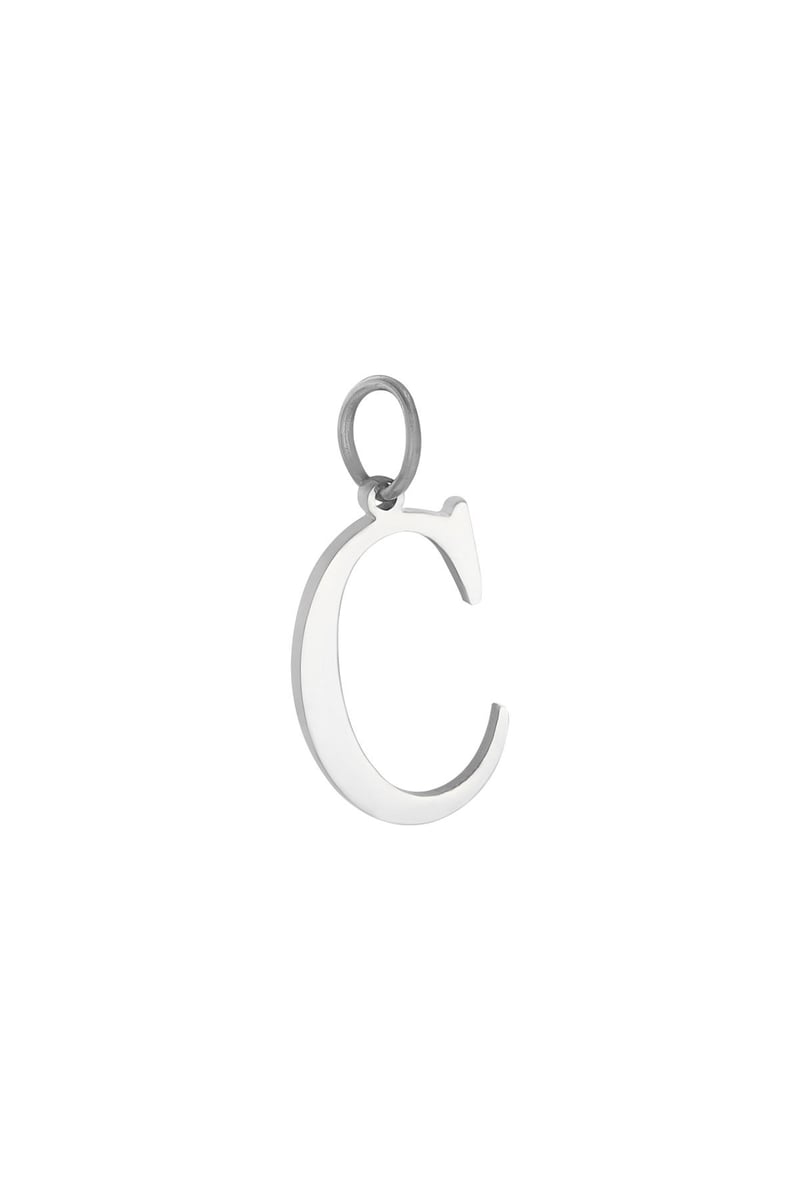 Charm A Zilver Stainless Steel
