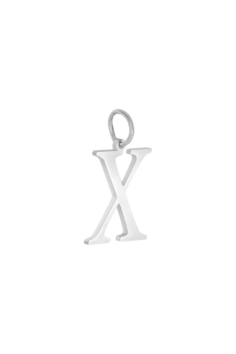 Charm A Zilver Stainless Steel