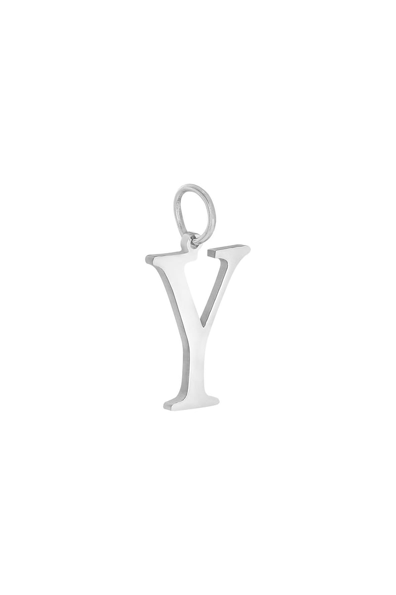 Charm A Zilver Stainless Steel