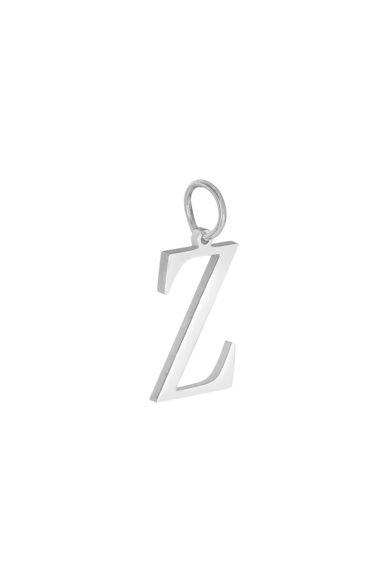 Charm A Zilver Stainless Steel