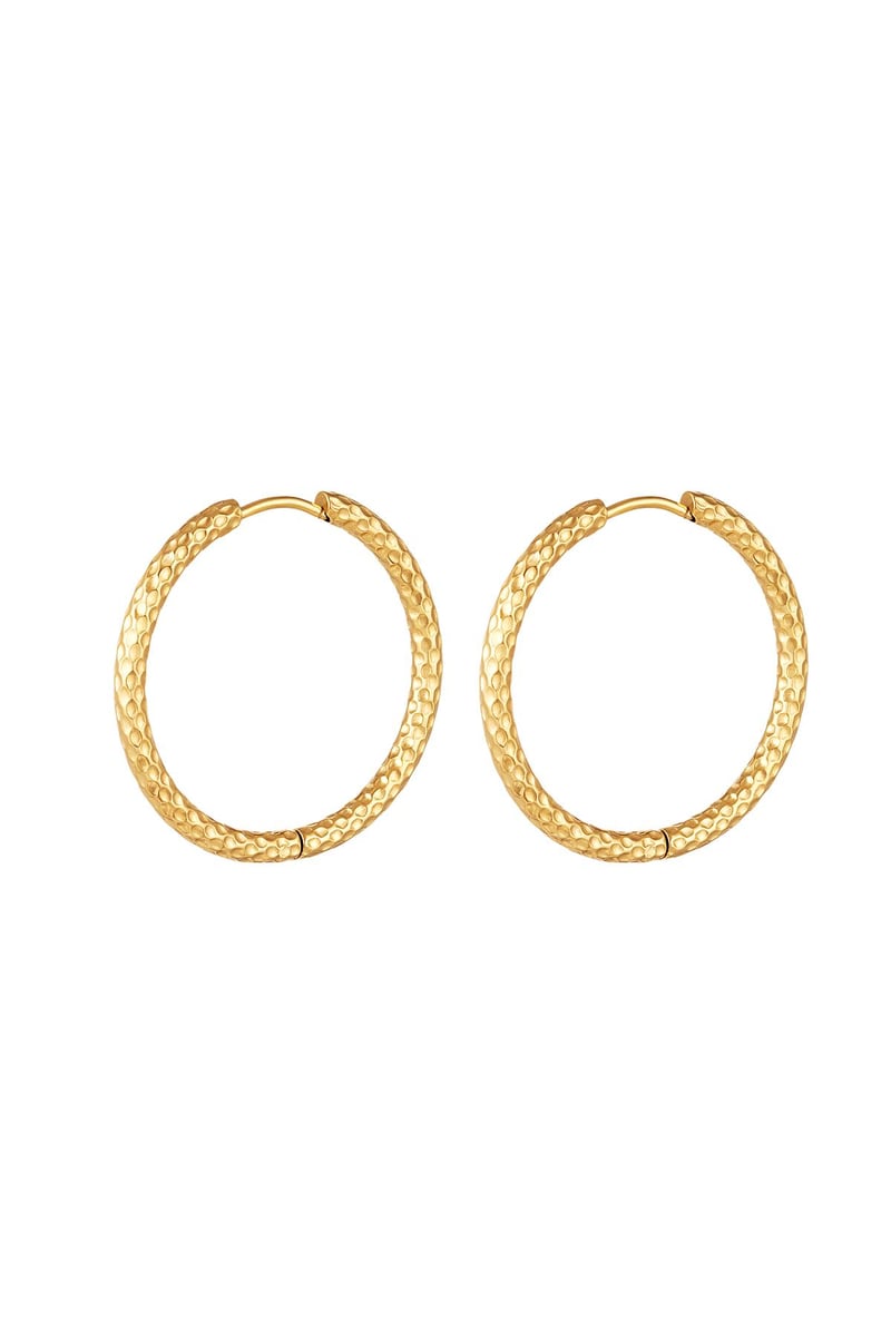 Oorbellen met patroon groot Goud kleur Stainless Steel