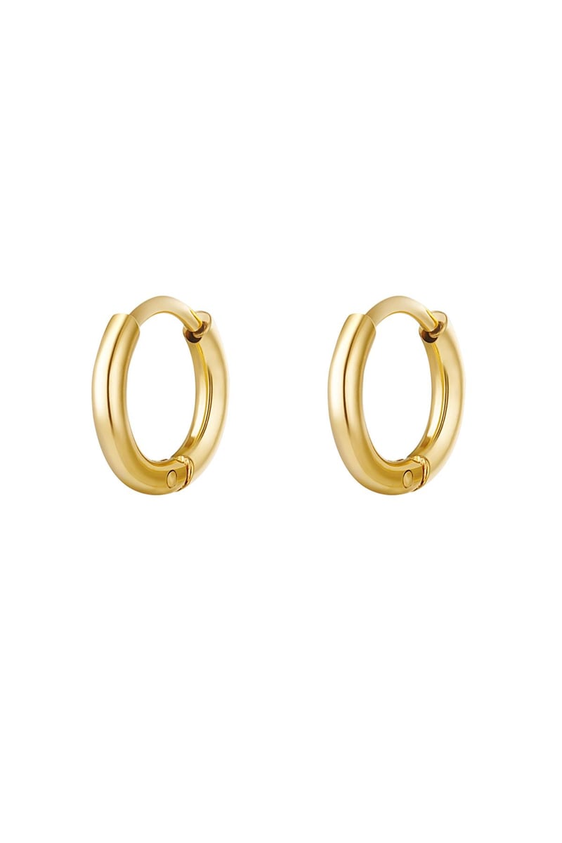 Creolen simpel XXS Goud kleur Stainless Steel