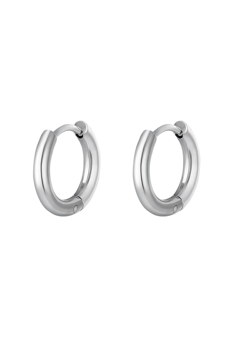 Creolen simpel S Zilver Stainless Steel