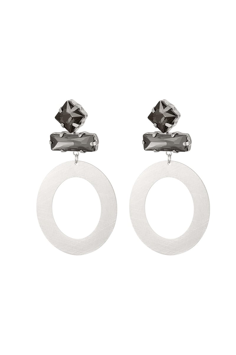 Ronde oorbellen met glaskralen Grijs & Zilver Stainless Steel