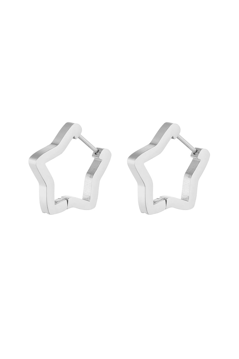 basic ster oorbellen groot