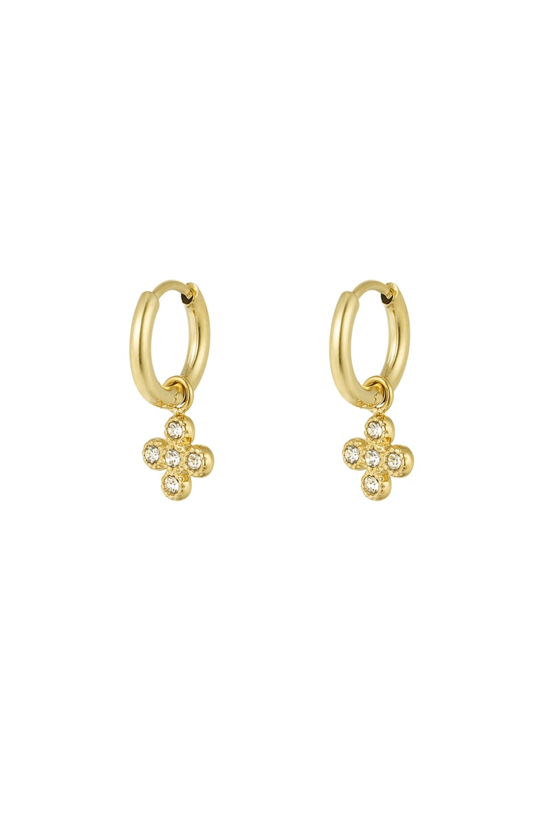 oorbellen clover class