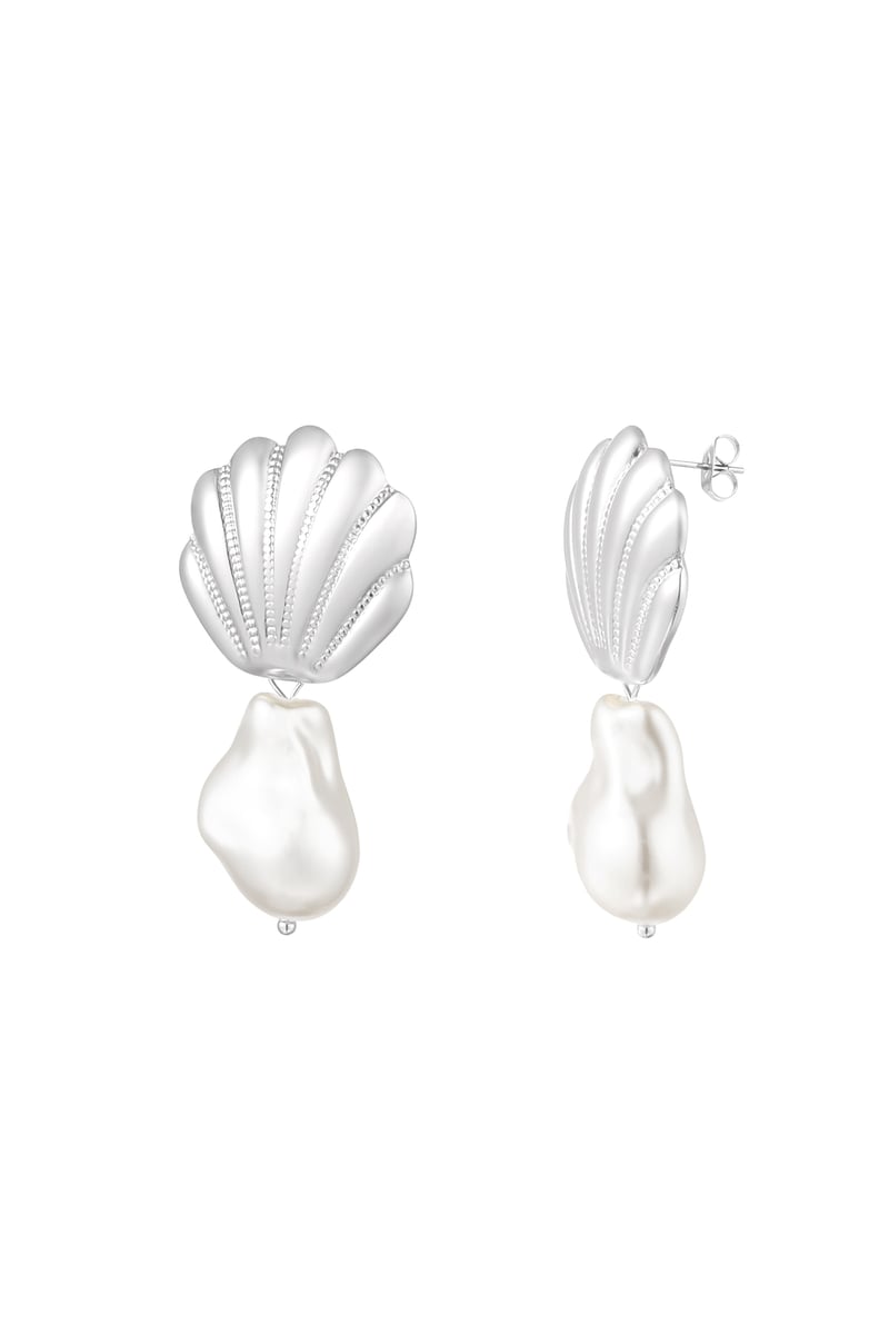 Stijlvolle roestvrijstalen oorbellen