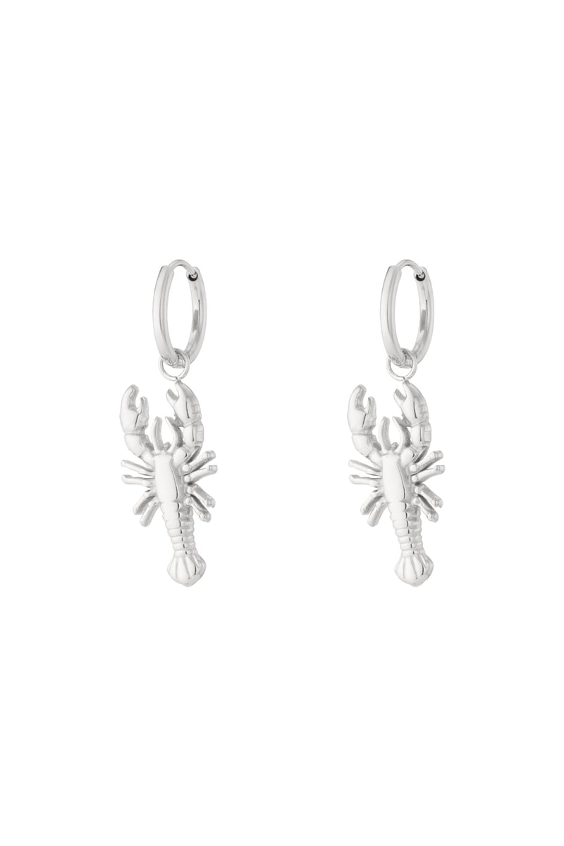   Oorbellen met dierenprint, casual, dagelijks, eenvoudig, serie, damessieraden