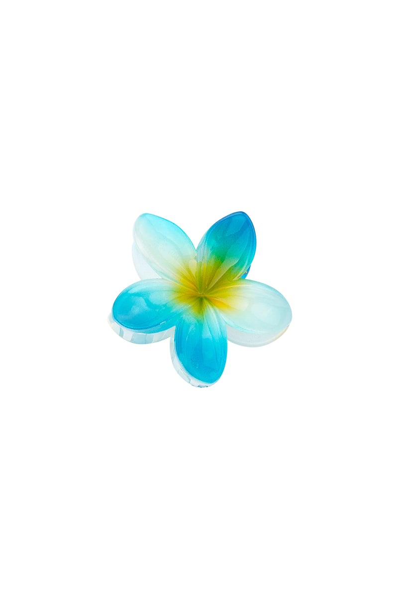 Haarclip Hawai dream - Rood