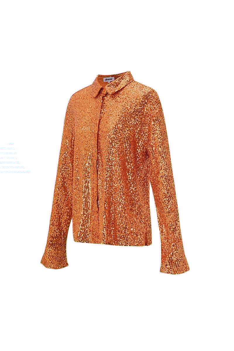 Glitter Long sleeve Blouse - Oranje