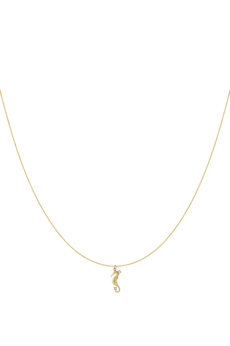   Hangerkettingen Turtle Casual Daily Simple Series Damessieraden