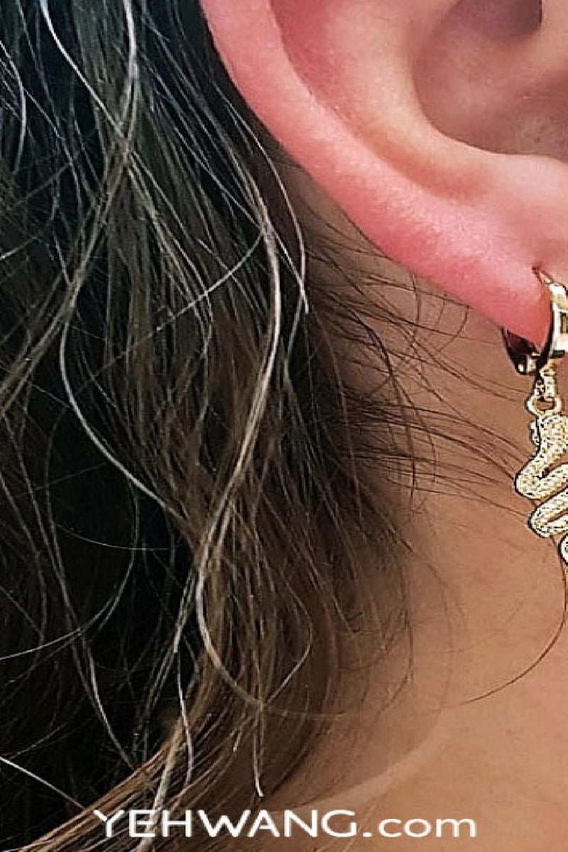 oorbellen special snake zilver 