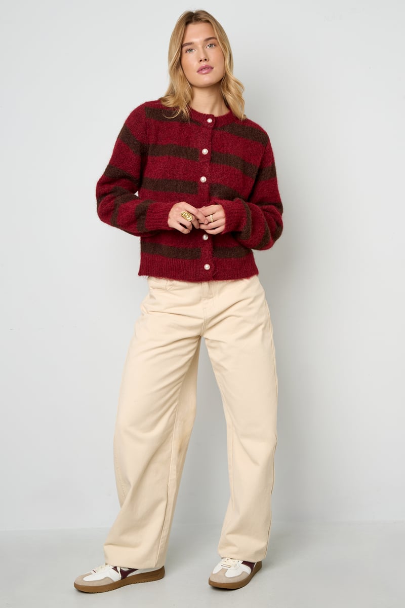 Polyestervezel (polyester) Gebreid vest Strepen Casual Herfst/Winterkleding